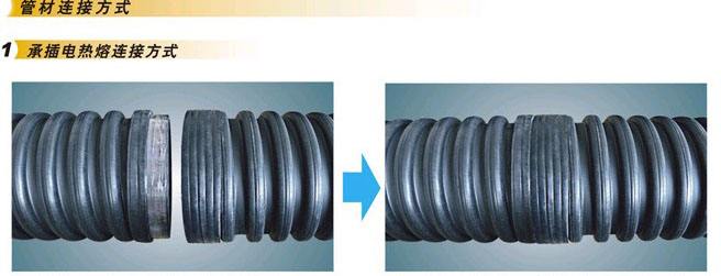 t11img.jpg